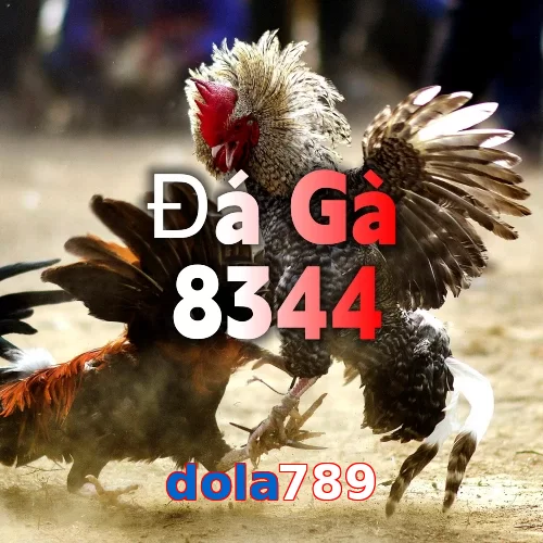 dola789